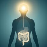 Gut Health and Mental Health connection showing brain and digestive system linked by neural pathways
